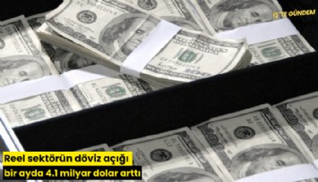 Reel sektörün döviz açığı bir ayda 4.1 milyar dolar arttı