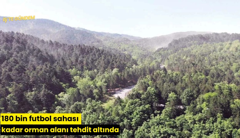 180 bin futbol sahası kadar orman alanı tehdit altında