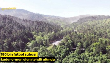 180 bin futbol sahası kadar orman alanı tehdit altında
