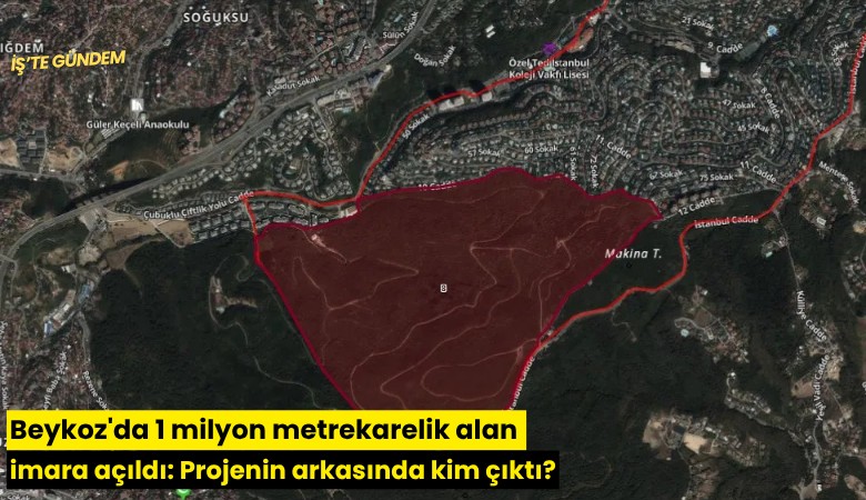 Beykoz'da 1 milyon metrekarelik alan imara açıldı: Projenin arkasında kim çıktı?