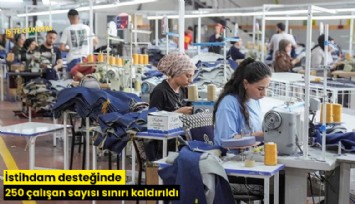 İstihdam desteğinde 250 çalışan sayısı sınırı kaldırıldı