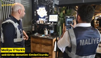 Maliye 17 farklı sektörde denetim timleri kurdu