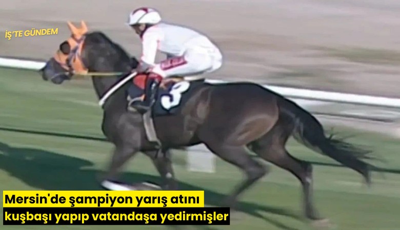 Mersin'de şampiyon yarış atını kuşbaşı yapıp vatandaşa yedirmişler