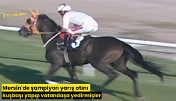 Mersin'de şampiyon yarış atını kuşbaşı yapıp vatandaşa yedirmişler