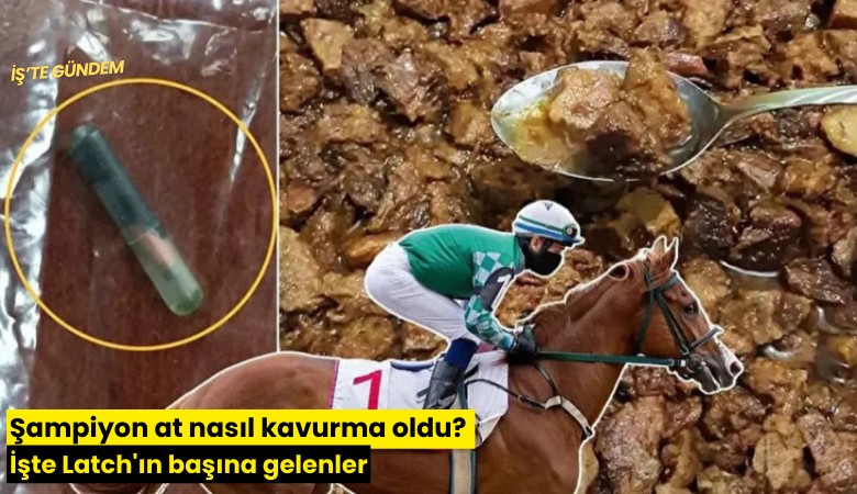 Şampiyon at nasıl kavurma oldu? İşte Latch'ın başına gelenler
