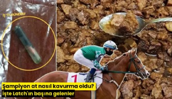 Şampiyon at nasıl kavurma oldu? İşte Latch'ın başına gelenler