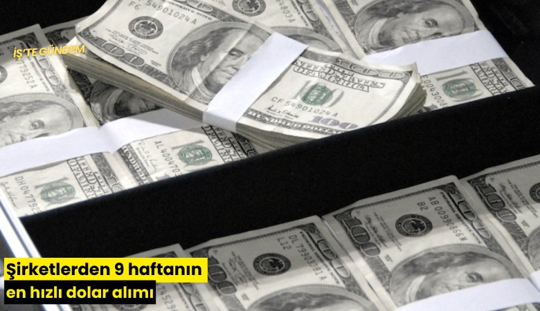 Şirketlerden 9 haftanın en hızlı dolar alımı