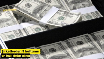 Şirketlerden 9 haftanın en hızlı dolar alımı