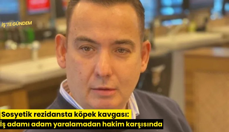 Sosyetik rezidansta köpek kavgası: İş adamı adam yaralamadan hakim karşısında