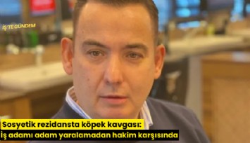 Sosyetik rezidansta köpek kavgası: İş adamı adam yaralamadan hakim karşısında