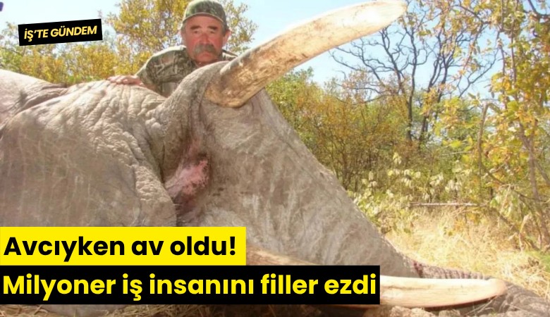 Avcıyken av oldu! Milyoner iş insanını filler ezdi