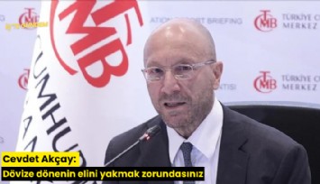 Cevdet Akçay: Dövize dönenin elini yakmak zorundasınız