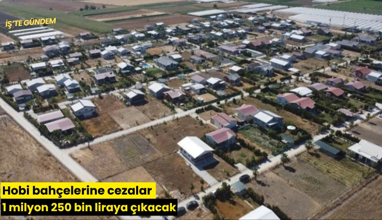 Hobi bahçelerine cezalar 1 milyon 250 bin liraya çıkacak