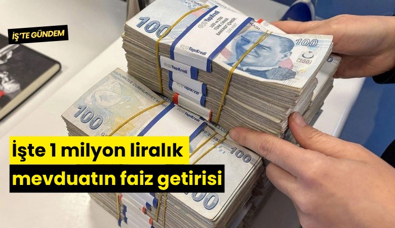İşte 1 milyon liralık mevduatın faiz getirisi
