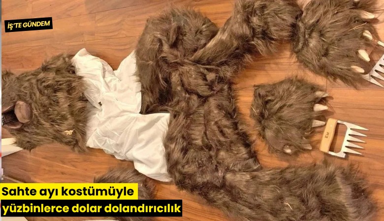 Sahte ayı kostümüyle yüzbinlerce dolar dolandırıcılık