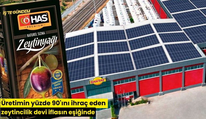 Üretimin yüzde 90'ını ihraç eden zeytincilik devi iflasın eşiğinde