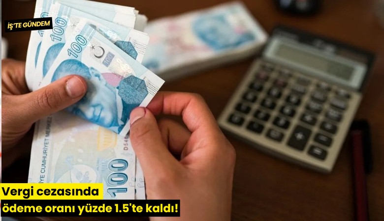 Vergi cezasında ödeme oranı yüzde 1.5'te kaldı!