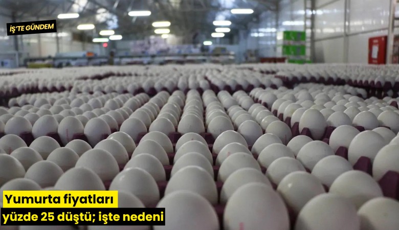 Yumurta fiyatları yüzde 25 düştü; işte nedeni