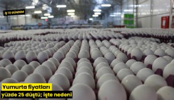 Yumurta fiyatları yüzde 25 düştü; işte nedeni