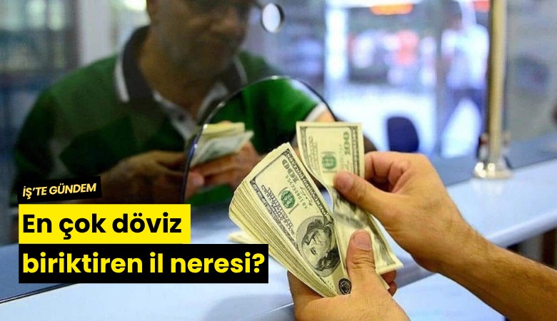 En çok döviz biriktiren il neresi?