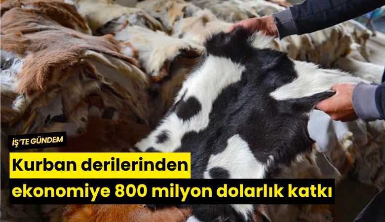 Kurban derilerinden ekonomiye 800 milyon dolarlık katkı