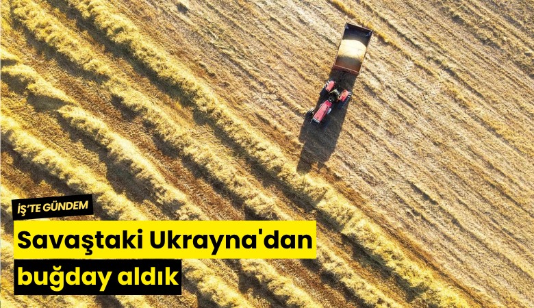 Savaştaki Ukrayna'dan buğday aldık