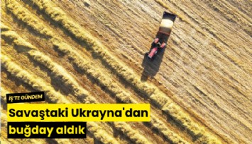 Savaştaki Ukrayna'dan buğday aldık