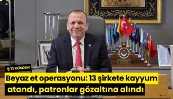 Beyaz et operasyonu: 13 şirkete kayyum atandı, patronlar gözaltına alındı