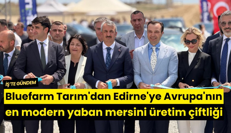 Bluefarm Tarım'dan Edirne'ye Avrupa'nın en modern yaban mersini üretim çiftliği