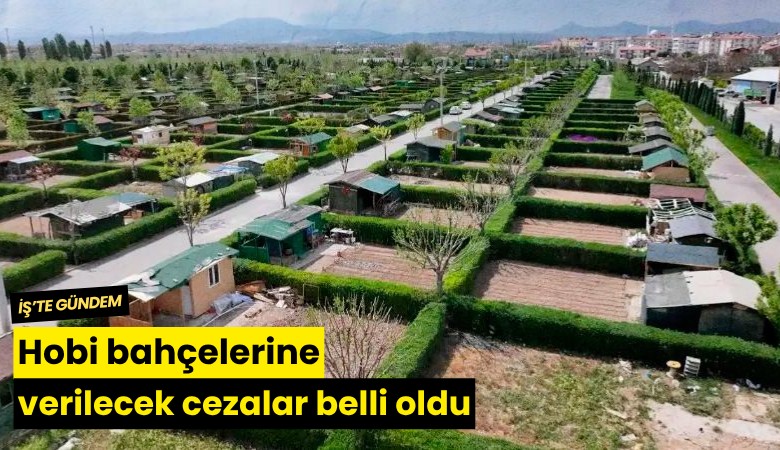 Hobi bahçelerine verilecek cezalar belli oldu