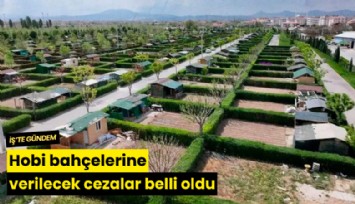 Hobi bahçelerine verilecek cezalar belli oldu