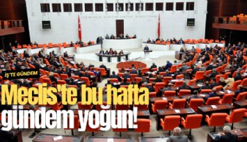 Meclis'te bu hafta gündem yoğun!
