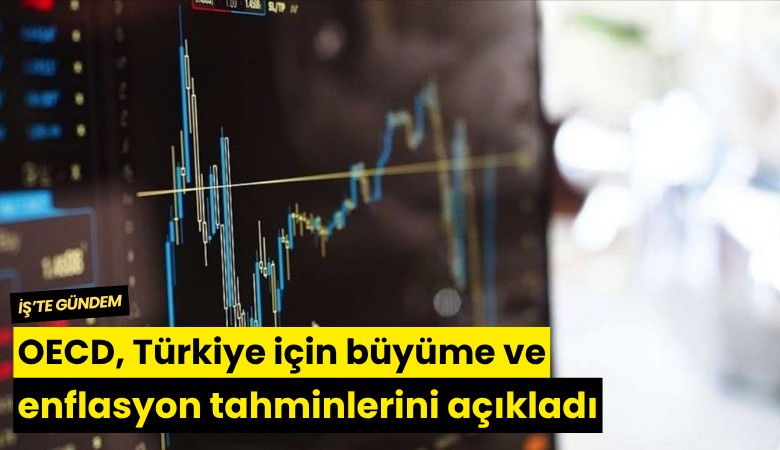 OECD, Türkiye için büyüme ve enflasyon tahminlerini açıkladı