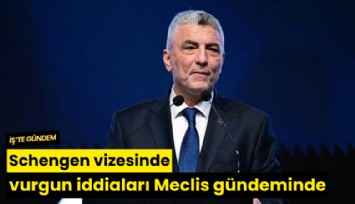 Schengen vizesinde vurgun iddiaları Meclis gündeminde