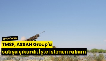 TMSF, ASSAN Group'u satışa çıkardı: İşte istenen rakam