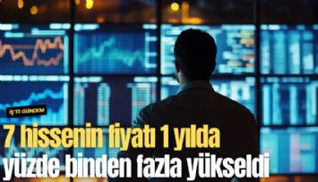 7 hissenin fiyatı 1 yılda yüzde binden fazla yükseldi