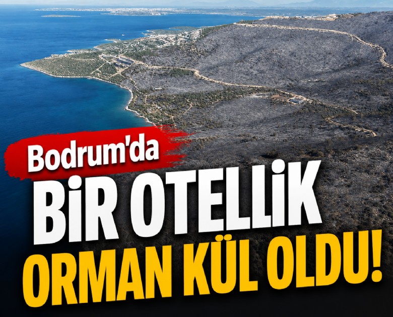 Bodrum'da bir otellik orman kül oldu!