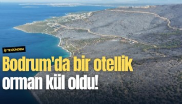 Bodrum'da bir otellik orman kül oldu!
