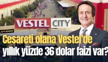 Cesareti olana Vestel'de yıllık yüzde 36 dolar faizi var...
