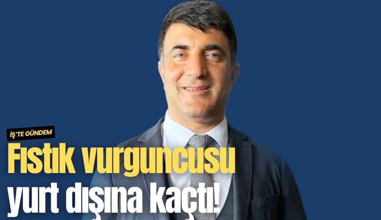 Fıstık vurguncusu yurt dışına kaçtı!