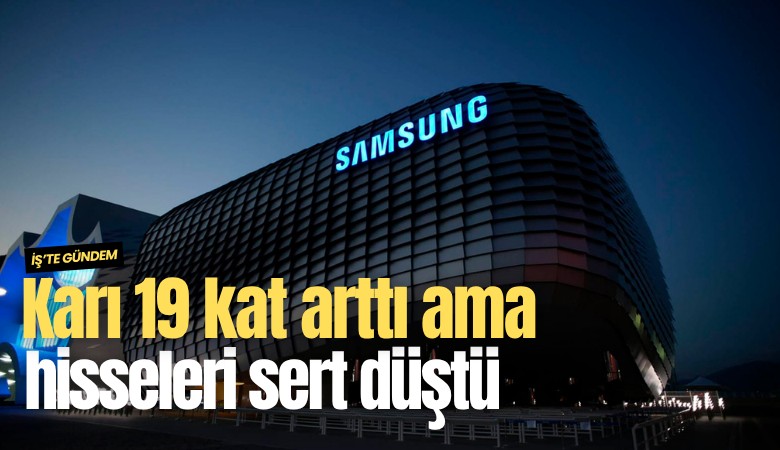 Karı 19 kat arttı ama hisseleri sert düştü
