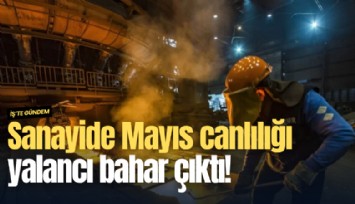 Sanayide Mayıs canlılığı yalancı bahar çıktı!