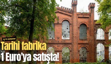 Tarihi fabrika 1 Euro'ya satışta!