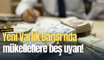 Yeni Varlık Barışı'nda mükelleflere beş uyarı!