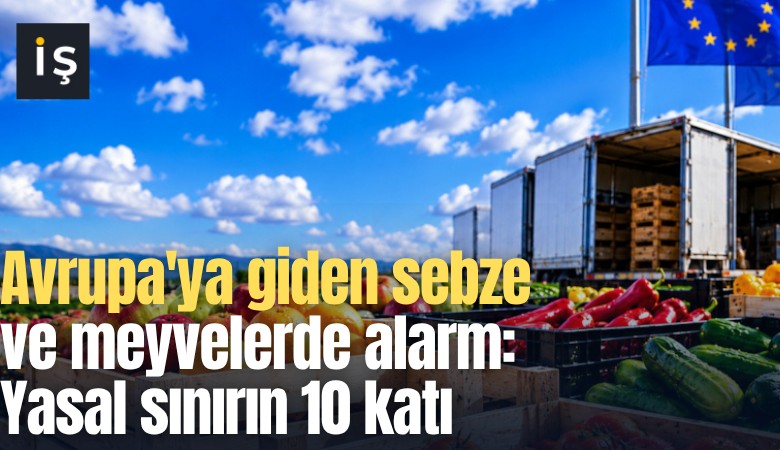 Avrupa'ya giden sebze ve meyvelerde alarm: Yasal sınırın 10 katı