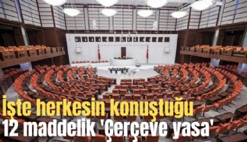 İşte herkesin konuştuğu 12 maddelik 'Çerçeve yasa'