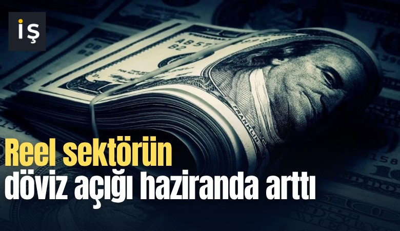 Reel sektörün döviz açığı haziranda arttı