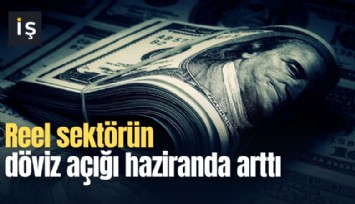 Reel sektörün döviz açığı haziranda arttı