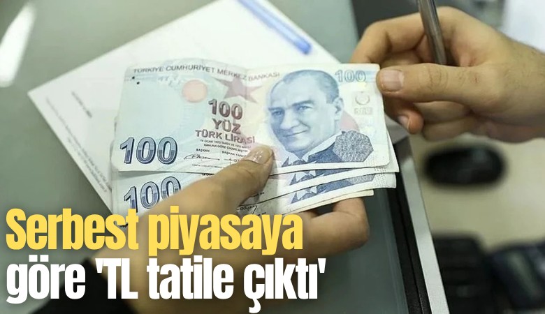 Serbest piyasaya göre 'TL tatile çıktı'