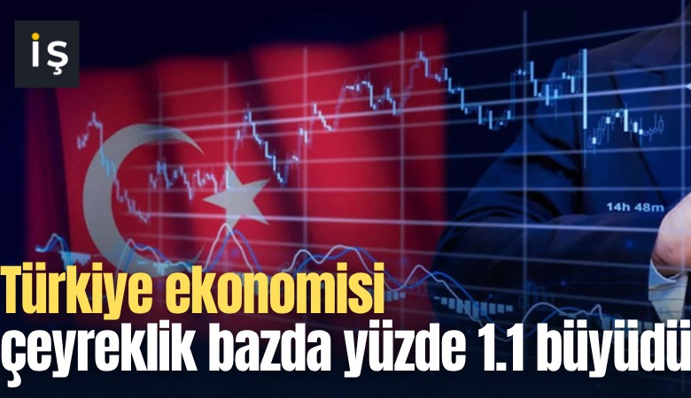 Türkiye ekonomisi çeyreklik bazda 1.1 büyüdü